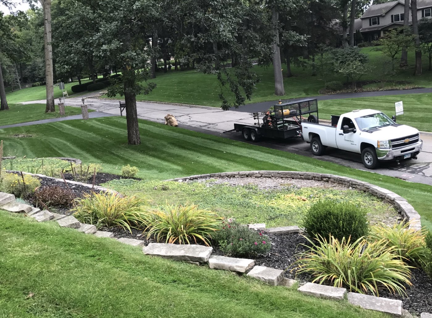 Landscape bed with ornamental grasses and shrubs, with the Greener Results truck and trailer in the drive