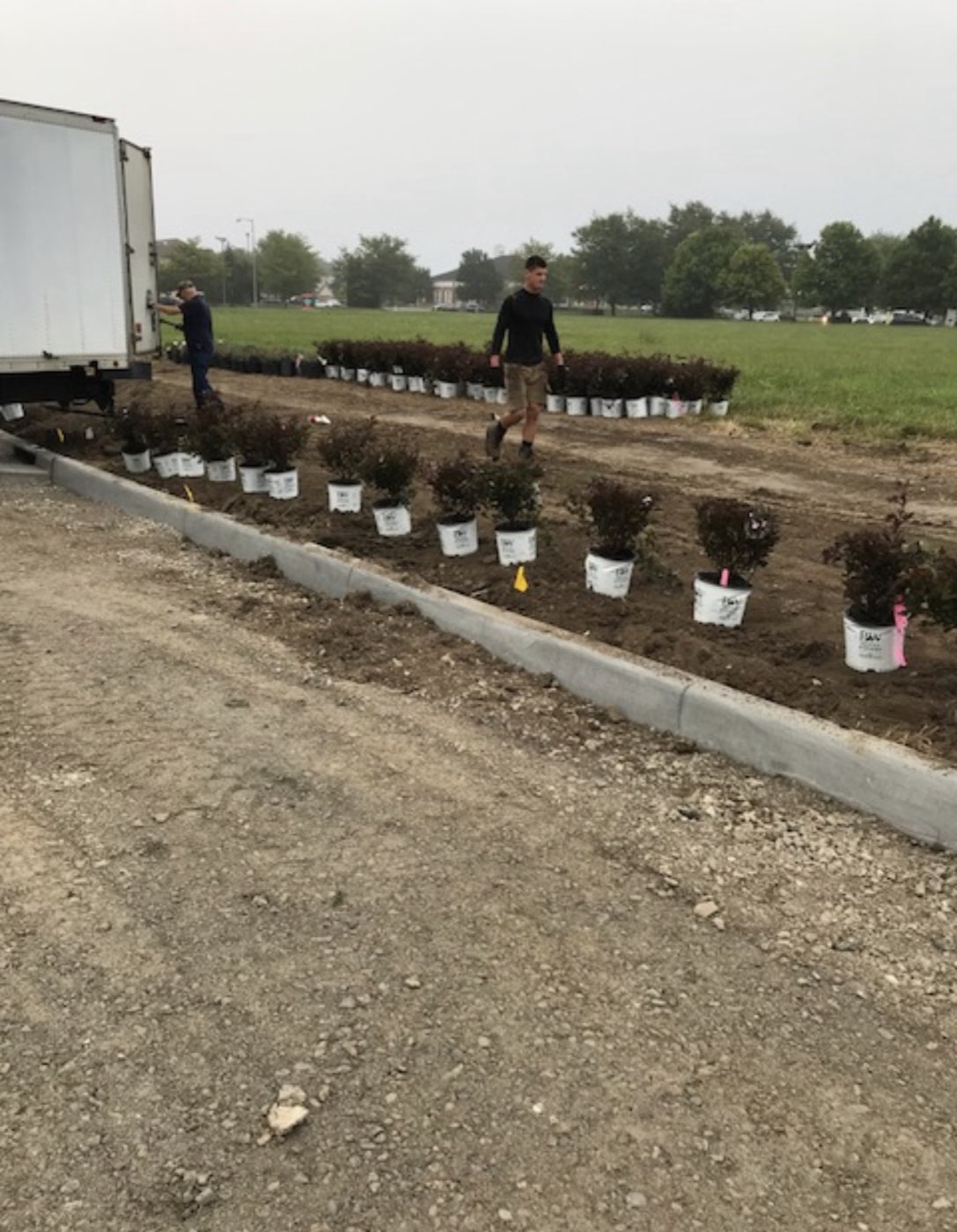 Greener Results crew setting out new shrubs along a freshly edged planting bed